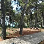Apartament Katerina
